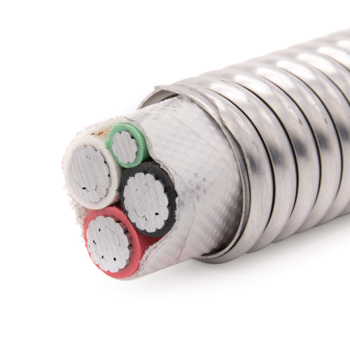 Type MC (Metal Clad Cable) 02